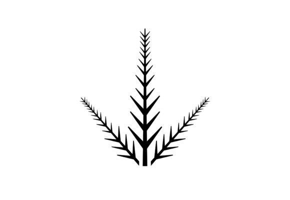 Fir Branch Christmas Vector SVG: Premium Illustrations